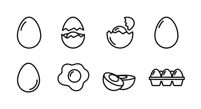 Set of Fresh Egg Varieties with Cracked and Whole Eggs for Breakfast or Cooking