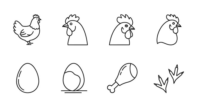 Simple Chicken and Egg Line Drawing Set for Poultry Illustration Projects