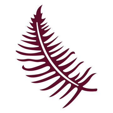 Bipinnate leaf cut out botanical