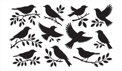 Obraz premium Bird silhouette set with flying and perched birds on branches