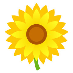 Sunflower Flat Color Vector Illustration
