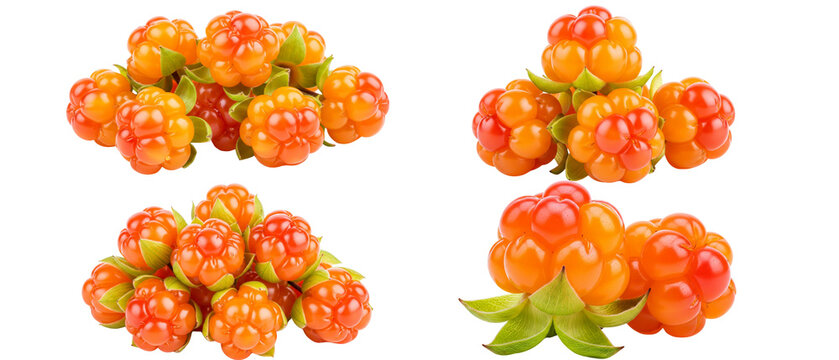 Set of four arrangements of fresh ripe cloudberries isolated on a white background.