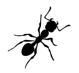 simple classic ant insect silhouette top view vector illustration isolated on transparent background