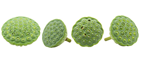 Set of fresh green lotus seed pods isolated on a white background.