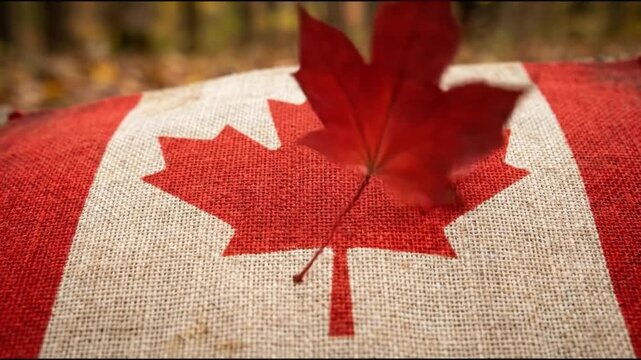 Red autumn maple leaf falling and landing on rustic burlap Canadian flag in nature