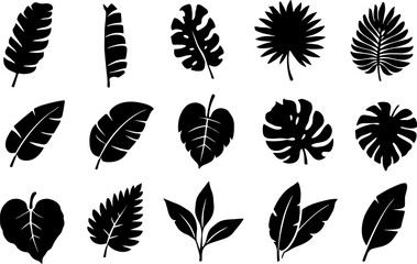 Obraz premium Tropical Leaf Silhouette Bundle Black Botanical Vector Set Monstera Palm Banana Jungle Leaves for Cricut Cutting Engraving Decor