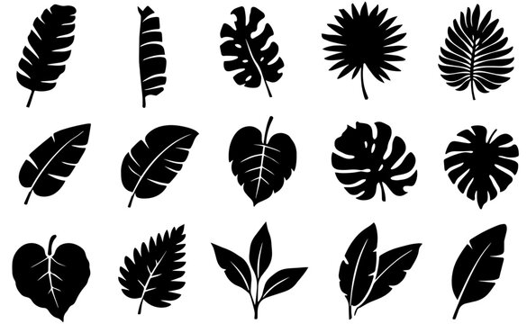 Tropical Leaf Silhouette Bundle Black Botanical Vector Set Monstera Palm Banana Jungle Leaves for Cricut Cutting Engraving Decor