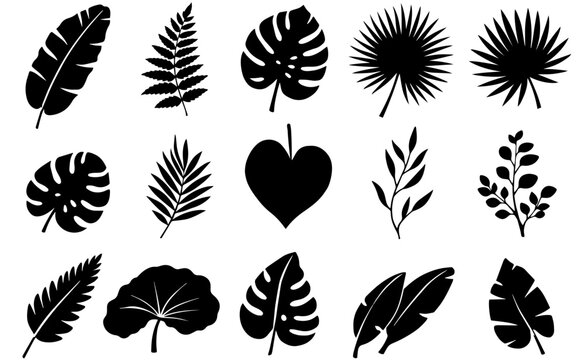 Tropical Leaf Silhouette Bundle Black Botanical Vector Set Monstera Palm Banana Jungle Leaves for Cricut Cutting Engraving Decor