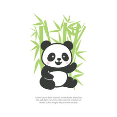 Panda Eating Bamboo Illustration