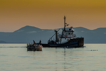 Obraz premium Tugboat boat at sunset Georgia Straight Pacific Ocean 