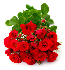 Beautiful bouquet of red roses isolated on white background