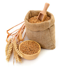 Wheat grains in a burlap sack and wooden bowl isolated on white background