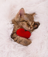Sleeping tabby kitten hugging a small red heart on white faux fur