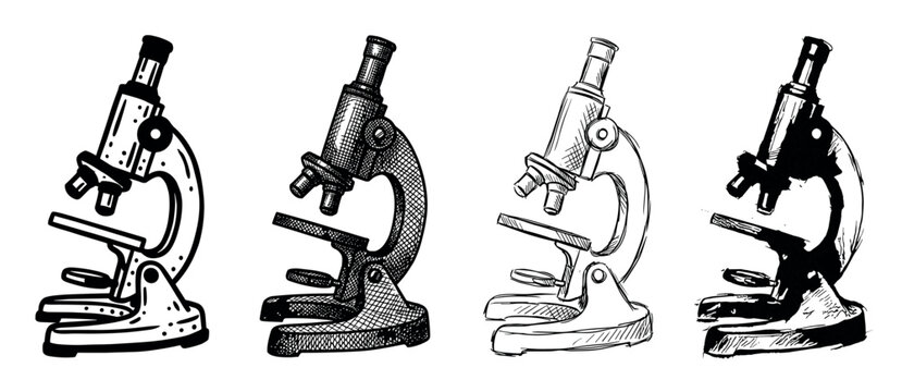 Four hand-drawn microscope illustrations in a black and white sketch style, showcasing different artistic techniques like cross-hatching and stippling for a vintage scientific look