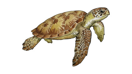 Green Sea Turtle Swimming Watercolor Style © Andri
