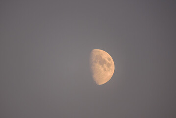 Fototapeta premium Half moon in the sky.