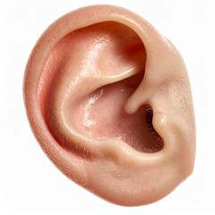Fototapeta premium Detailed human ear, natural skin tones, anatomical contours, isolated on white background, medical