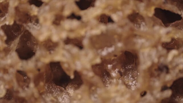 Macro photo of baked bread crumb texture captured via microscope objective at 2.4&times; magnification with 15 mm field of view. Porous network and gelatinized starch layers