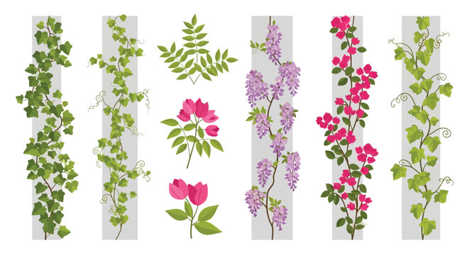 Vector illustrations of climbing vines and flowering plants in vibrant colors against a subtle