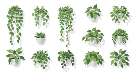 Collection of Potted Green Houseplants with Drooping and Bushy Foliage