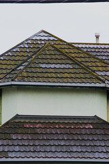 Growth on roof shingles