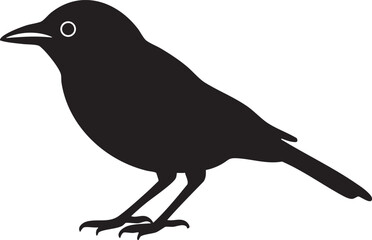 Fototapeta premium Black bird silhouette with white background, detailed eye and visible legs. 