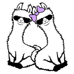 Obraz premium Couple Love Bow Man Woman No Prob Llama Probllama Drama Cool Sunglasses Sitting Relaxed