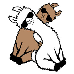 Obraz premium Two Friends Team Crew No Prob Llama Probllama Drama Cool Sunglasses Sitting Relaxed