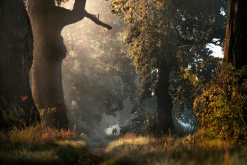 W stronę światła © Anna