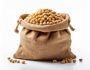 soybeans in sack isolated on white background