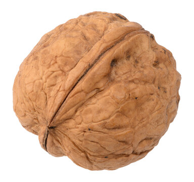 A whole walnut in its shell with pronounced texture and grooves