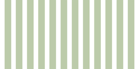 vertical green and white line background as a wallpaper.Vector ilustration