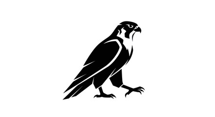 Obraz premium Black and white falcon silhouette