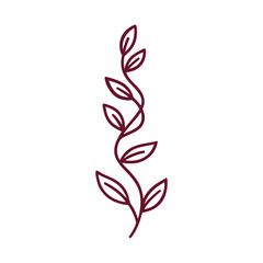 Botanical Branch with Leaves Minimal Line Art Flat Vector