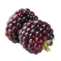 Super realistic closeup of two fresh blackberries placed side by side some parts with a very dark red tone juicy plump and shiny looking fresh and delicious with a sma