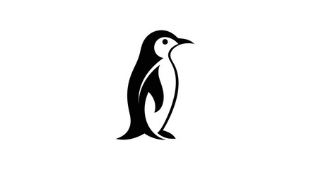 Black and white penguin isolated on white