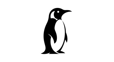 Black and white penguin isolated on white