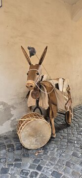 Asinello 
