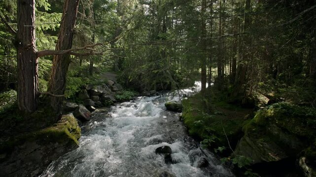 Slow motion video of a mountain river turning into a waterfall Stuibenfall Alps. Beautiful landscapes of nature in Austria, pine forests.