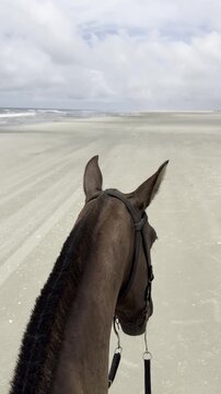 Riding alone on a brown horse on a deserted beach
