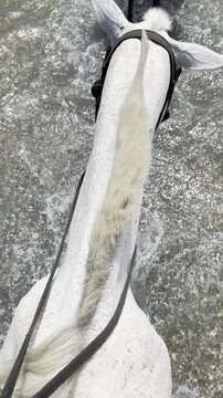 Riding a white horse, seen from above, close-up, over water.