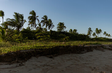 Fototapeta premium Traditional fishing boats resting along the coast of Itacaré, Bahia, Brazil, under strong yellow sunlight. The intense tropical sun creates golden reflections on the ocean surface, highlighting the vi