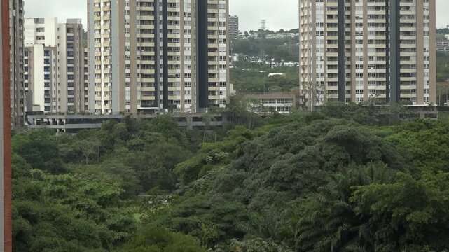 Edificios en medio de Bosque tropical