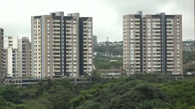 Edificios en medio de Bosque tropical