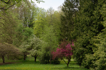 Baden-Württemberg - Kaiserstuhl - Forstliches  Arboretum Liliental © Uwalthie Pic Project
