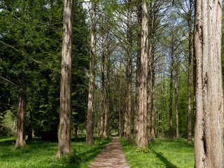 Baden-Württemberg - Kaiserstuhl - Forstliches  Arboretum Liliental © Uwalthie Pic Project