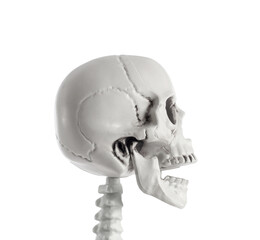 Obraz premium Scary human skeleton isolated on white background