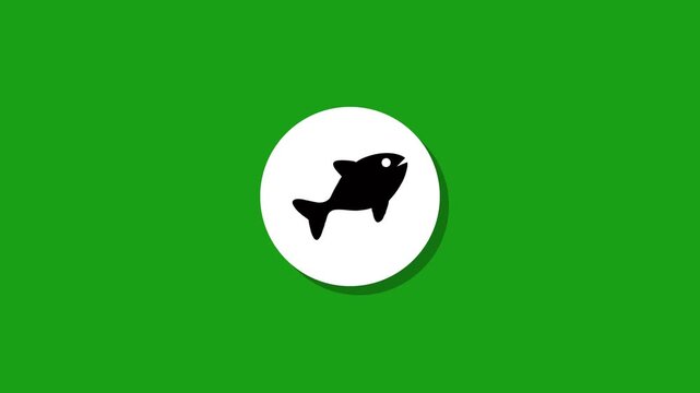 Minimalist black fish icon appearing on white circle over green background in flat style with drop shadow motion