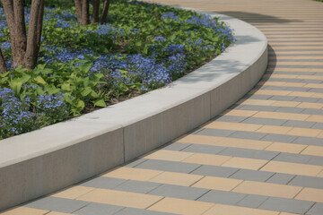 Curved concrete border separates blooming flowerbed with small purple flowers from clean tiled sidewalk in urban landscaped public area.
