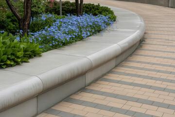 Curved concrete border separates blooming flowerbed with small purple flowers from clean tiled sidewalk in urban landscaped public area.
